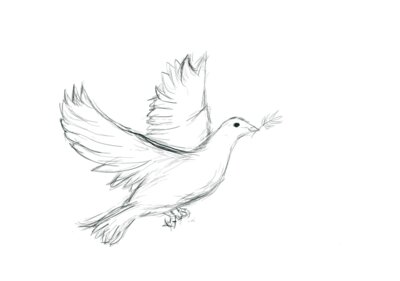 Peace Pigeon