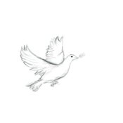 Peace Pigeon